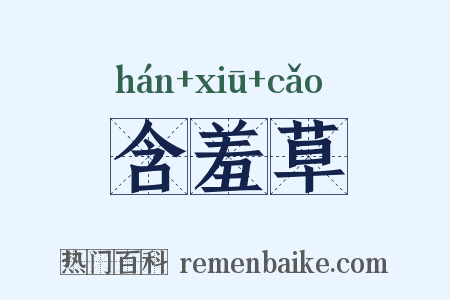 含羞草是什么意思的图片